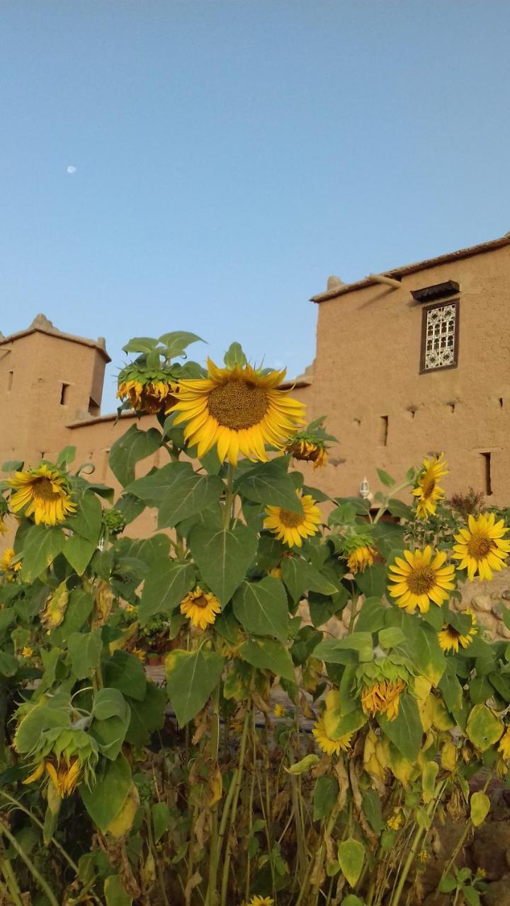 Kasbah Izoran Hotell Midelt Eksteriør bilde