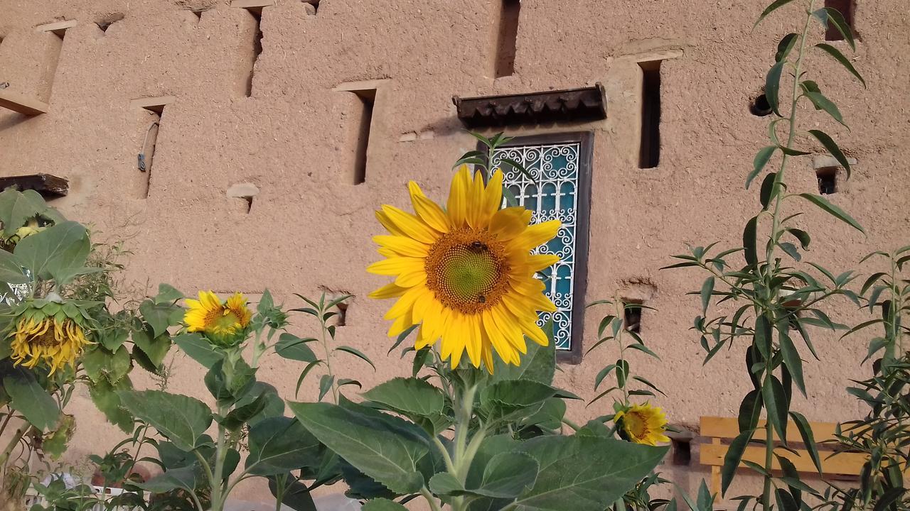 Kasbah Izoran Hotell Midelt Eksteriør bilde