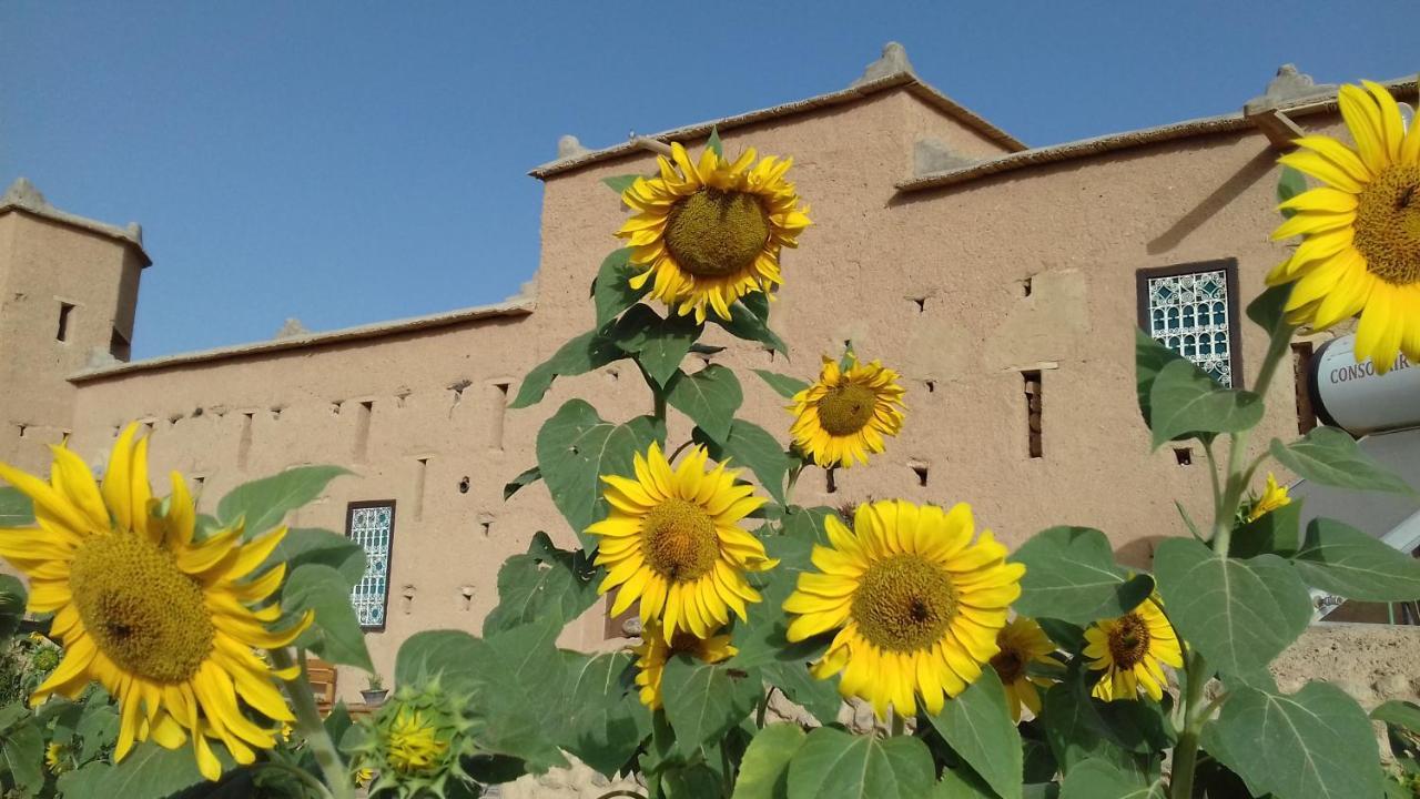 Kasbah Izoran Hotell Midelt Eksteriør bilde