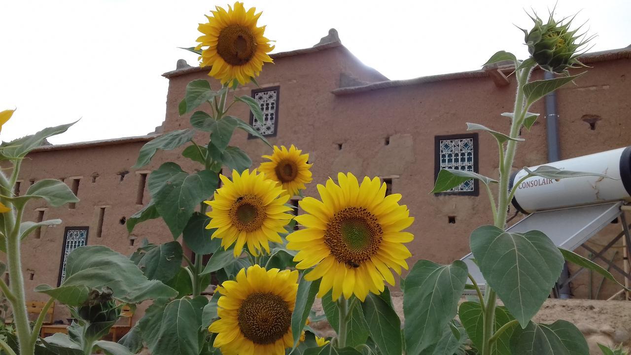 Kasbah Izoran Hotell Midelt Eksteriør bilde